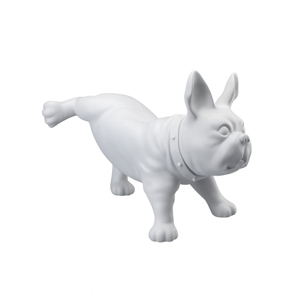French Bulldog, Luis - White. Dog mannequin