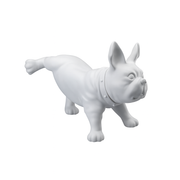 French Bulldog, Luis - White. Dog mannequin