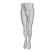 Male torso, legs - white. Metal base plate. Mannequin lower part