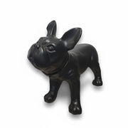 French Bulldog, Liva. Dog mannequin in black