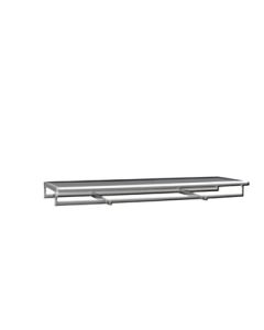 Shelf w/ 1 rail & 2 arms 