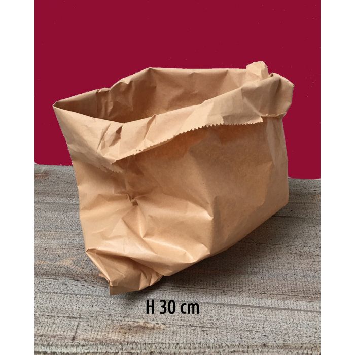 Brown Paper Bags - H 30 cm.